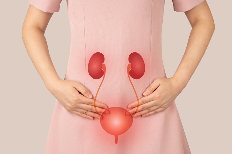 Presentación — bienestar urinario femenino